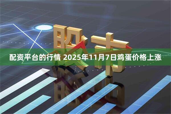 配资平台的行情 2025年11月7日鸡蛋价格上涨
